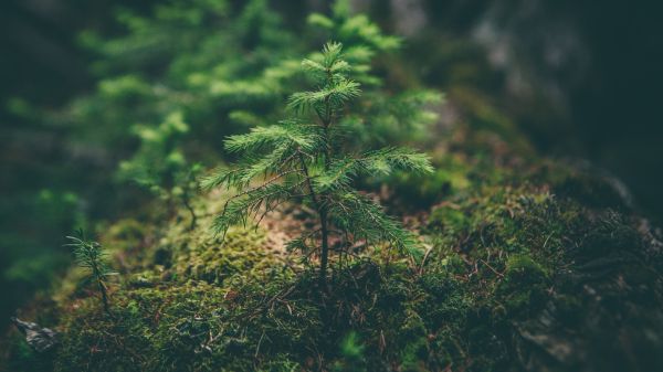 Protecting our planet