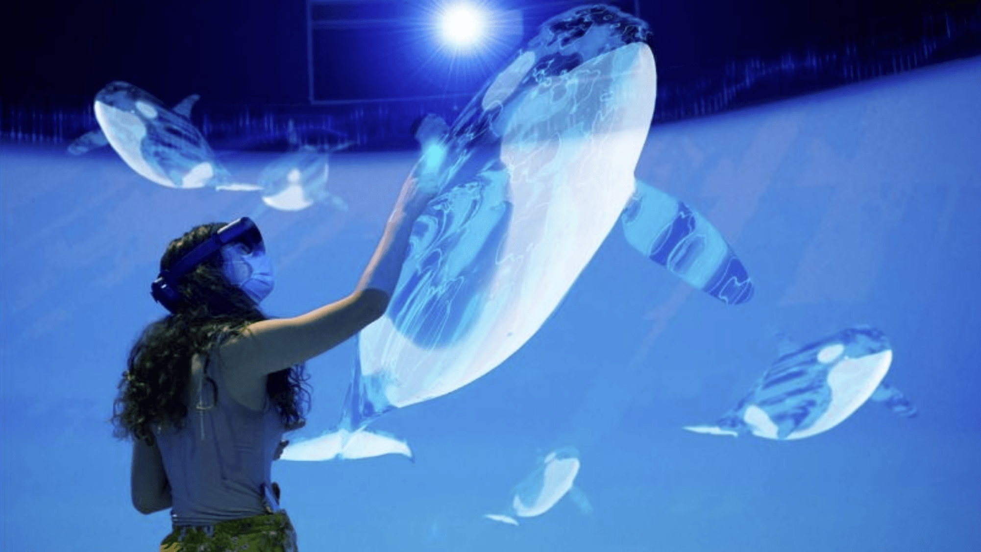 Orcas Residentes del Sur